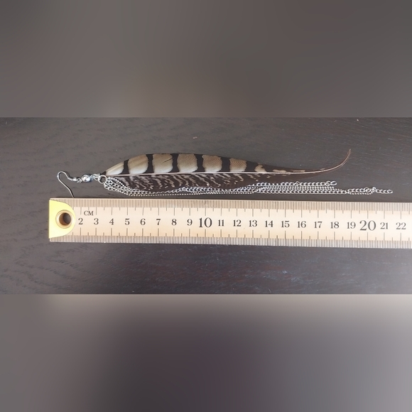 Earrings with Silver Chain - Picture 8 of 9